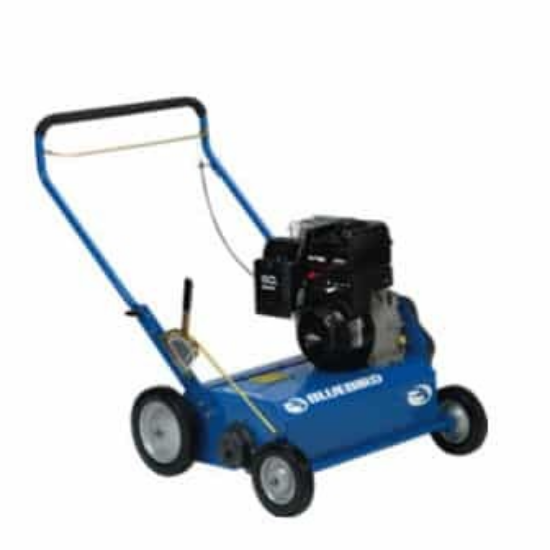 Picture of Thatcher Bluebird